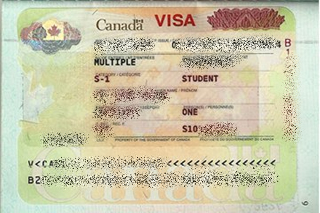 “签证”（Visa）
