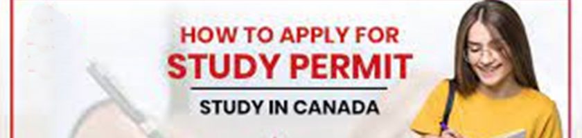 加拿大签证申请表格：境外-申请加拿大留学许可/Study Permit（大签）及 大签样本
