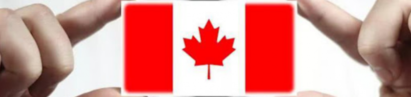 加拿大签证申请表格：IMM表格下载中心（Download Center）